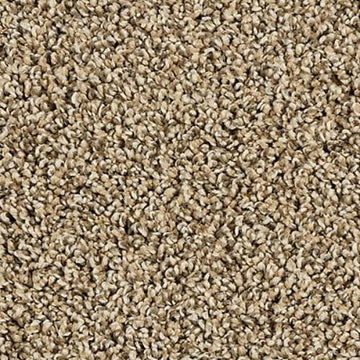 Flax Seed