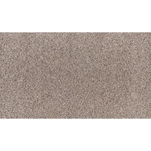 Innate Flair in Cobblestone Path Carpet