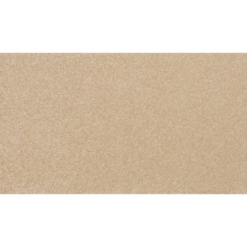 Delicate Hues in Anemones Carpet