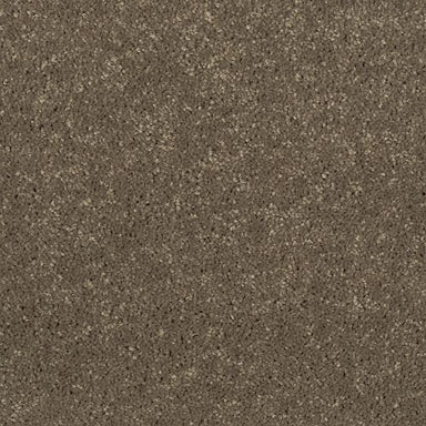 Decorative Charm in Antelope Carpet