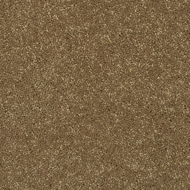 Weston Manor in Buffalo Creek Carpet