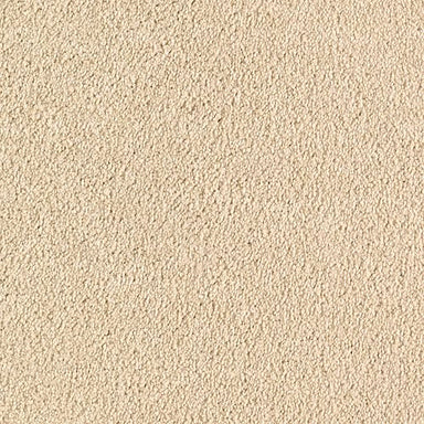 Rising Fashion in Angora Carpet