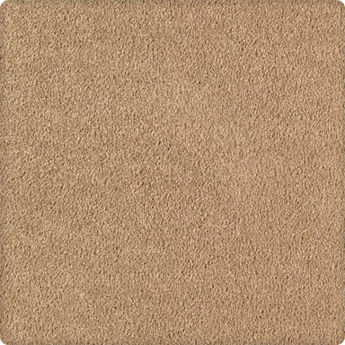 Infinite Touch in Artisan Carpet