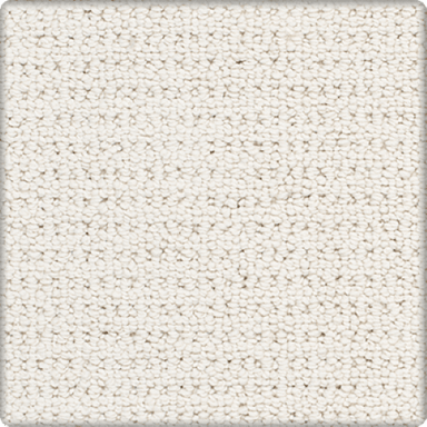 Blythe Park in Allure Carpet