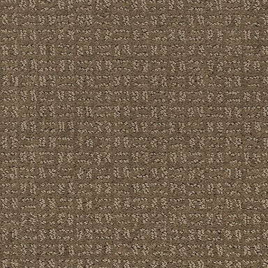 Flawless Vision in Ancestral Haze Carpet