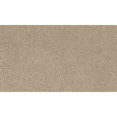 Charismatic Beauty in Almond    Carpet