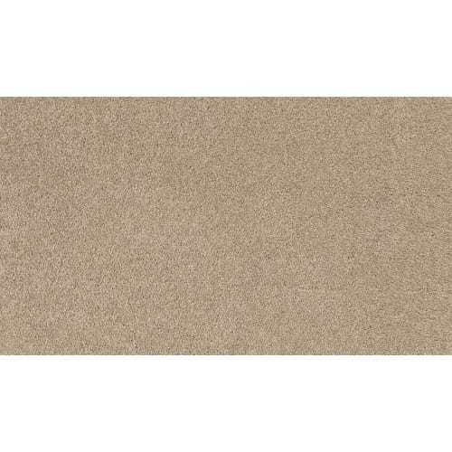 Charismatic Beauty in Almond    Carpet