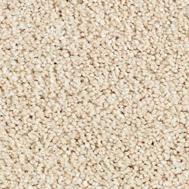 NATURAL REFINEMENTII in Antique Ivory Carpet