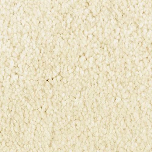 Elegant Appeal III in Flaky Coconut Carpet