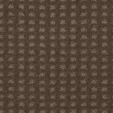 Outstanding Artistry in Bison Carpet