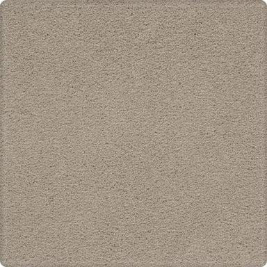 Tempting Appeal in Adore Carpet