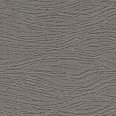 Untamed Chic in Aspen Summit Carpet