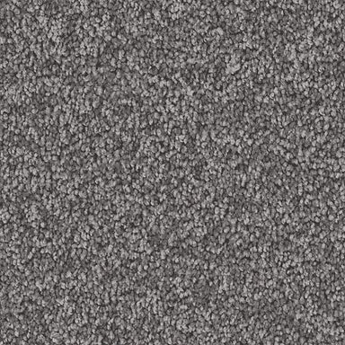 Exceptional Choice in Alden Charcoal Carpet