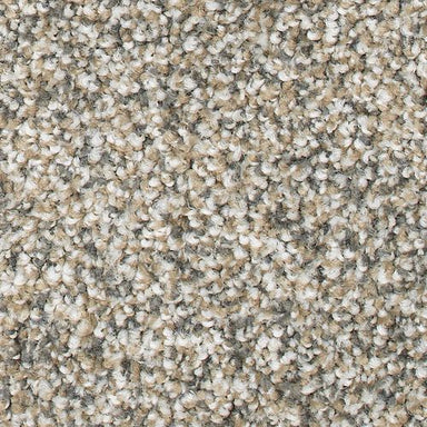 Magnetic Allure in Cedar Chest Carpet