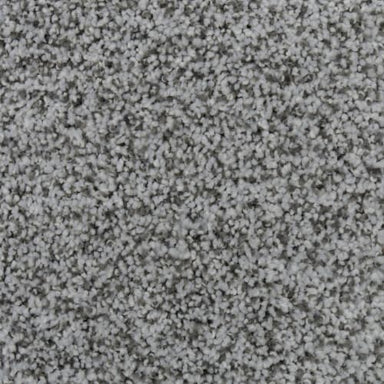 Magnetic Beauty in Alpine Carpet