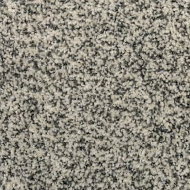 Charismatic Appeal in Corinthian Carpet