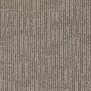 Majestic Refinement in Academy Carpet