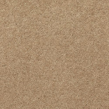 Soft Edition I in Artisan Hue Carpet