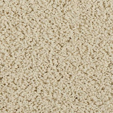 Sleek Tones in Bare Essence Carpet