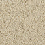 Sleek Tones in Bare Essence Carpet