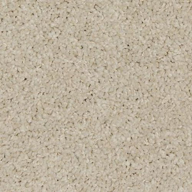 Up The Ante in Antique White Carpet