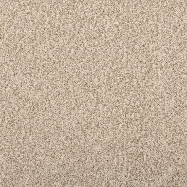 Cordial Mood in Antique Carpet