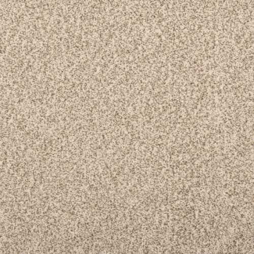 Cordial Mood in Antique Carpet