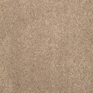 Cordial Memory in Ashen Taupe Carpet