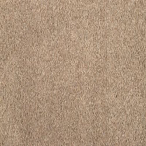 Cordial Memory in Ashen Taupe Carpet