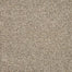 Luxuriant Surface in Flute Carpet