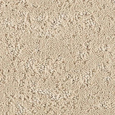 Mineral Effects in Aspen Carpet