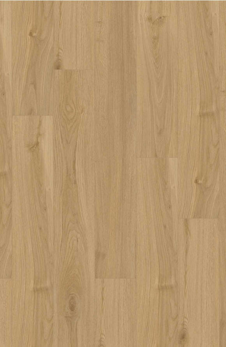 Comfort Classics in Oxford Oak