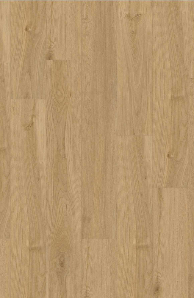 Comfort Classics in Oxford Oak