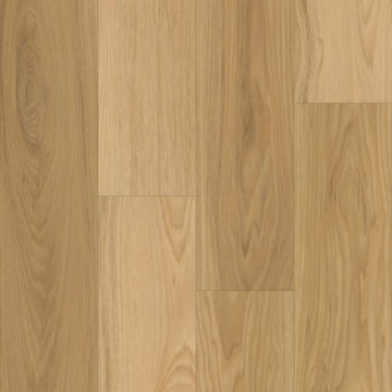 Cumberland Hickory