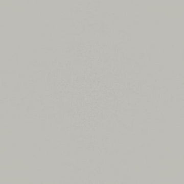 Smoke 24x24 Rectified Matte