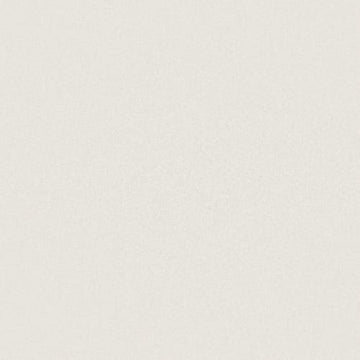 Warm White 12x24 Rectified Matte