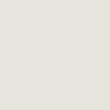 Warm White 24x24 Rectified Polished