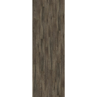 Shaw Industries in Symbiotic 12 Luxury Vinyl