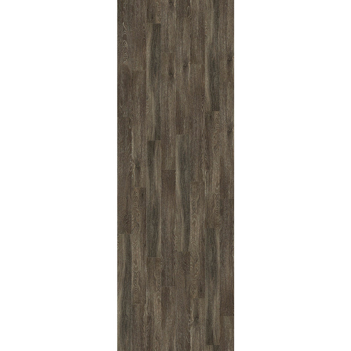 Shaw Industries in Symbiotic 12 Luxury Vinyl