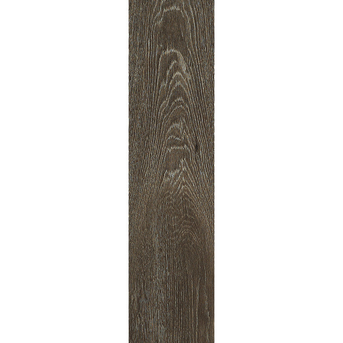 Shaw Industries in Symbiotic 20 Luxury Vinyl