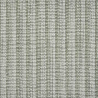 Radiant Stripe in Agave Carpet