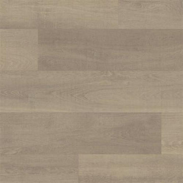 Oyster Oak