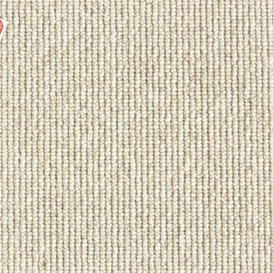 Rogue in Bisque Carpet