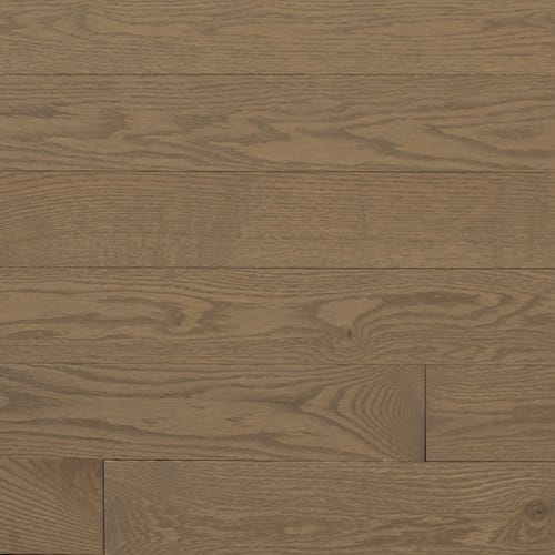 Signature Solid Red Oak Excel 3/4" in Chardonnay 3.25" Hardwood