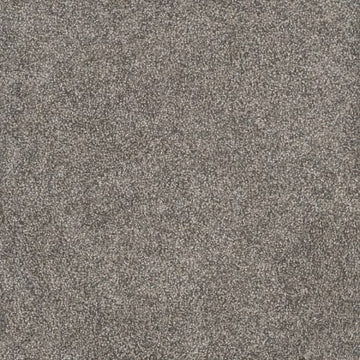 Dried Sage