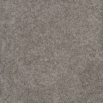 Dried Sage
