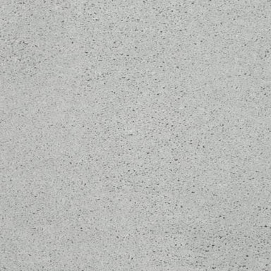 Simply Amazing in Antique Silver Carpet