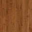St. Vincent White Oak Solid in Classic Brown 2-1/4" | Bruce