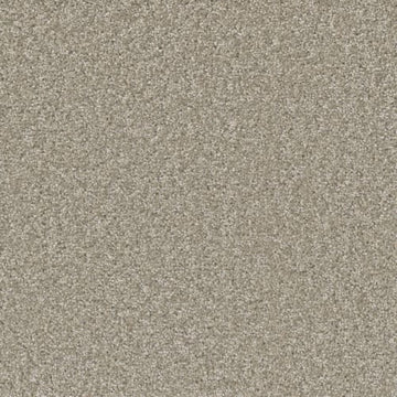 Clam Shell