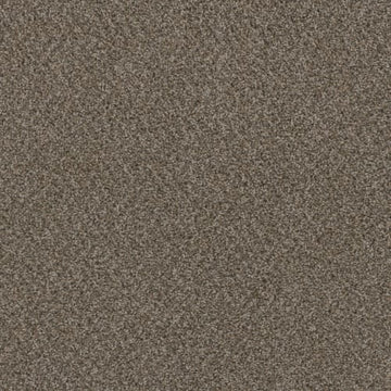 Desert Jasper